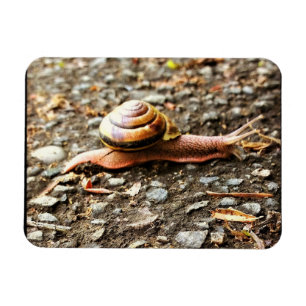 Red Snail on the Ground Magnet