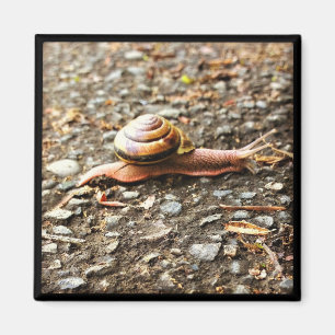 Red Snail on the Ground Magnet