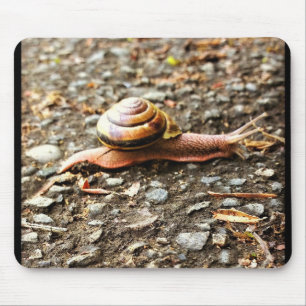 Red Snail on the Ground Mouse Pad