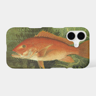 Red Snapper Fish in the Ocean, Vintage Marine Life