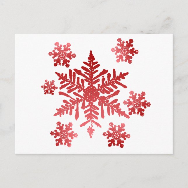 Red Snowflakes Postcard (Front)