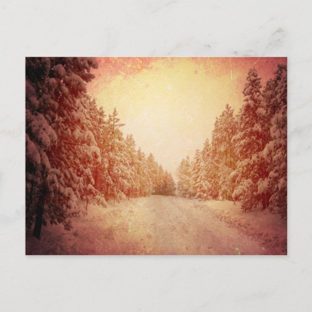 Red Snowy Road, Conifer, CO Postcard (Front)