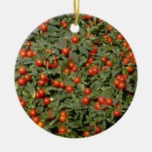 Red Solanum Pseudocapsicum (Jerusalem Cherry) flow Ceramic Tree Decoration