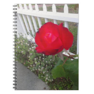 Red Solo Rose Notebook
