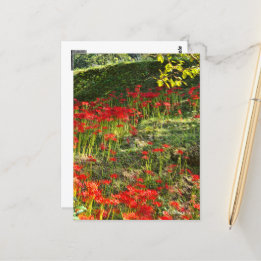 Red Spider Lily ポストカード Postcard