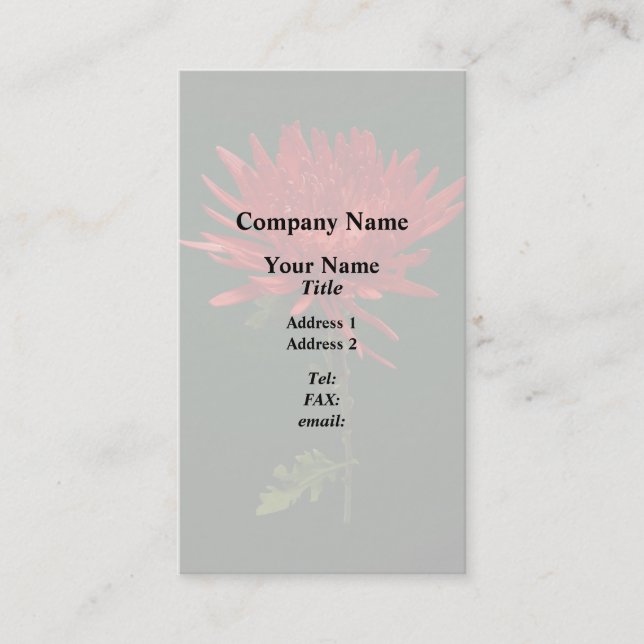 Red Spider Mum Business Card (Front)