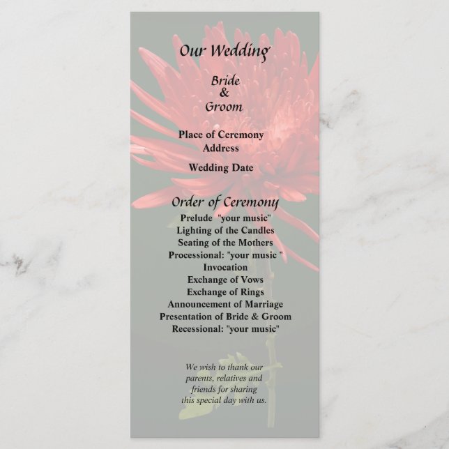 Red Spider Mum Programme (Front)