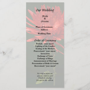 Red Spider Mum Programme