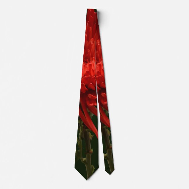 Red Spider Mum Tie (Front)