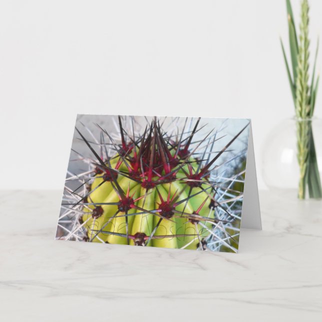 Red Spines Products Card (Front)