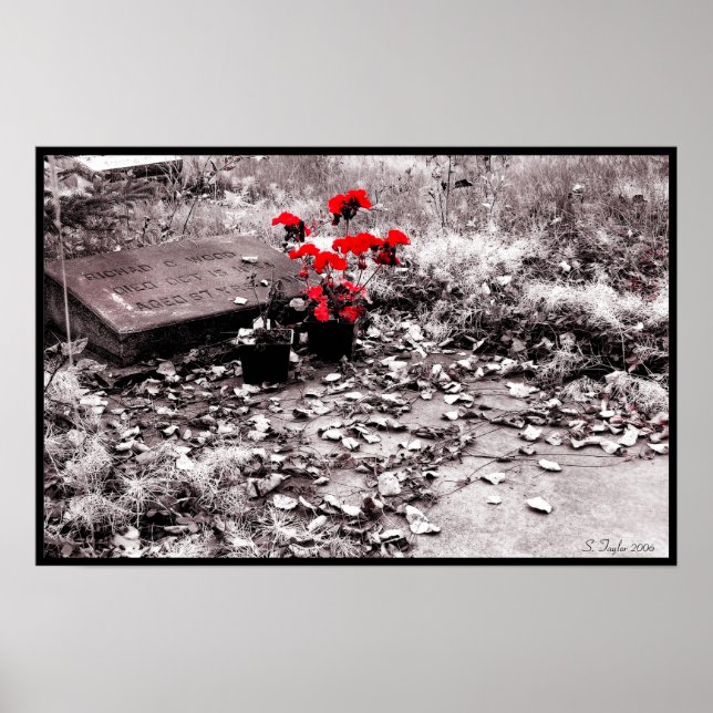 Red Splash Poster (Front)