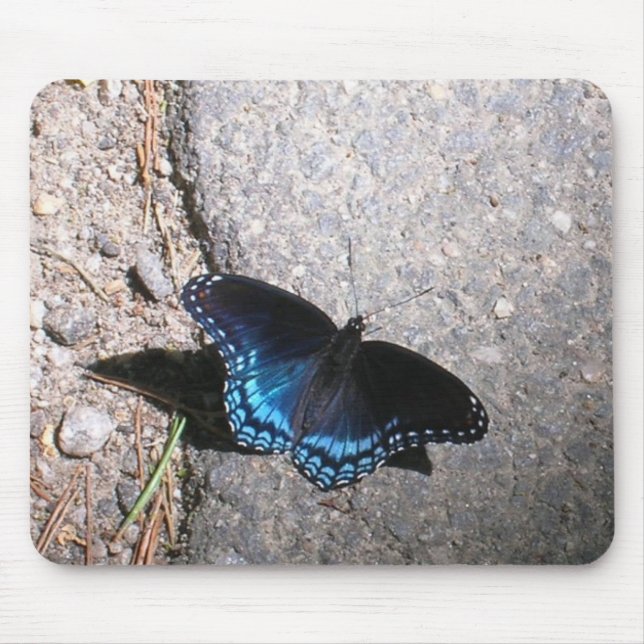 Red Spotted Admiral Butterfly Mouse Pad (Front)