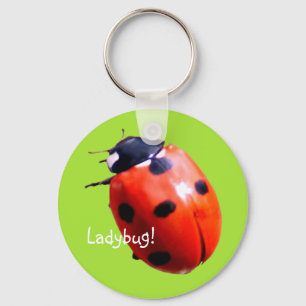Red Spotted Ladybug Key Ring
