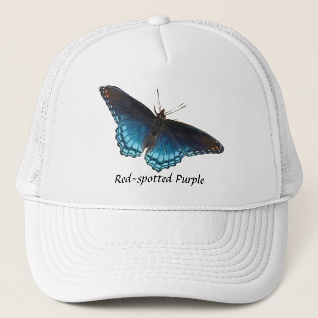 Red-spotted Purple Butterfly Hat (Front)