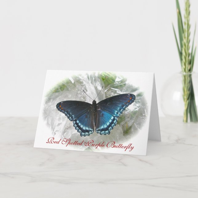Red Spotted Purple Butterfly Note Card (Front)