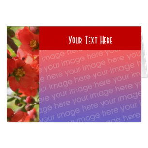 Red Spring Blossoms Floral Photo Card