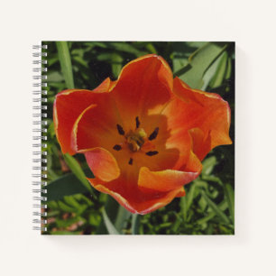 red spring flower notebook