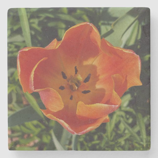 red spring flower  stone coaster (Front)
