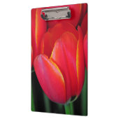Red spring tulips clipboard (Left)