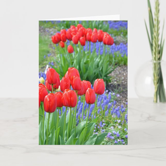 Red spring tulips floral print greeting card (Front)