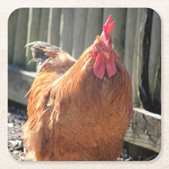 Red   square paper coaster (Front)