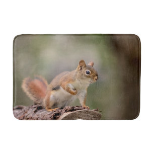 Red Squirrel Bath Mat