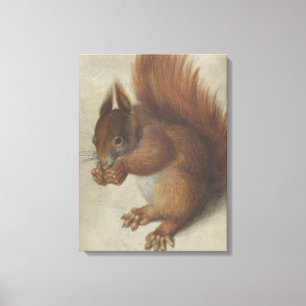 Red Squirrel (by Hans Hoffmann) Canvas Print