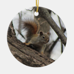 Red Squirrel Ceramic Tree Decoration