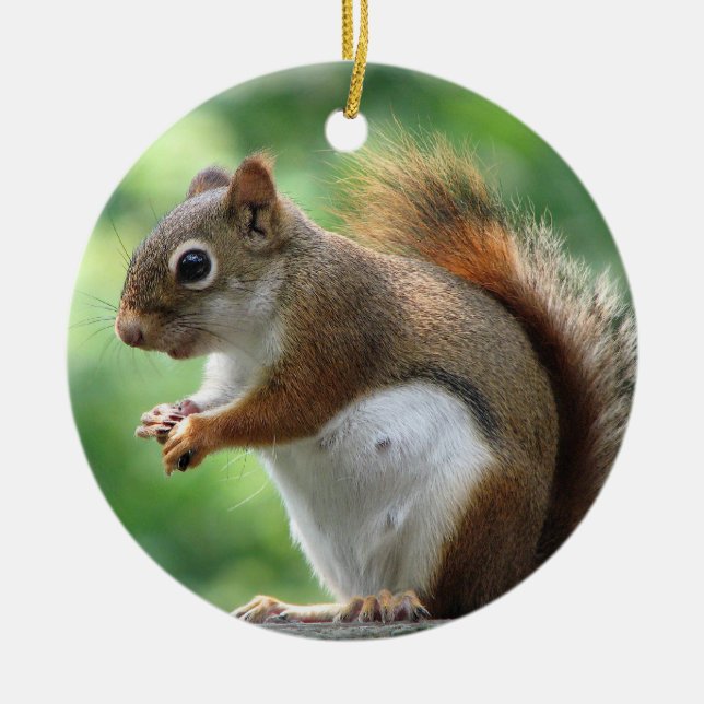Red Squirrel Christmas Ornament (Front)