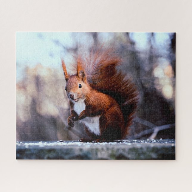 Red Squirrel Close up, Jigsaw Puzzle (Horizontal)