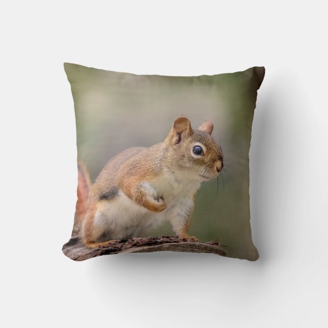Red Squirrel Cushion (Front)