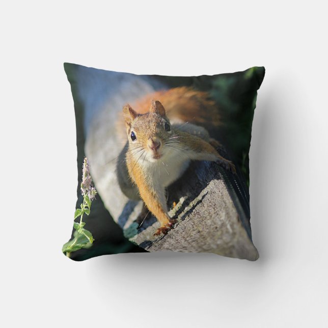 Red squirrel cushion (Front)