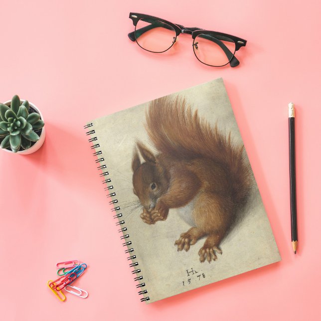 Red Squirrel | Hans Hoffmann Notebook (Creator Uploaded)