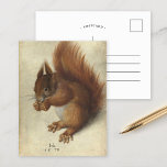 Red Squirrel | Hans Hoffmann Postcard<br><div class="desc">Red Squirrel (1578) by German artist Hans Hoffmann. The original artwork is watercolor and gouache over traces of graphite on vellum. Hoffmann specialised in nature studies,  many of them copied from or based on Albrecht Dürer's work.

Use the design tools to add custom text or personalise the image.</div>