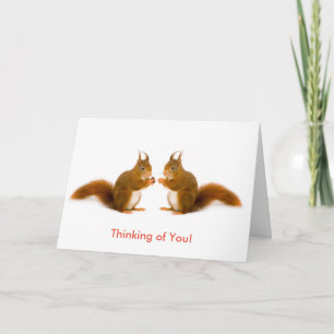 Red squirrel image for Get-Well Greeting card