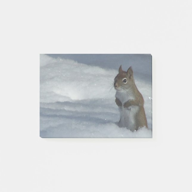 Red Squirrel In Snow Post-it Notes (Front)