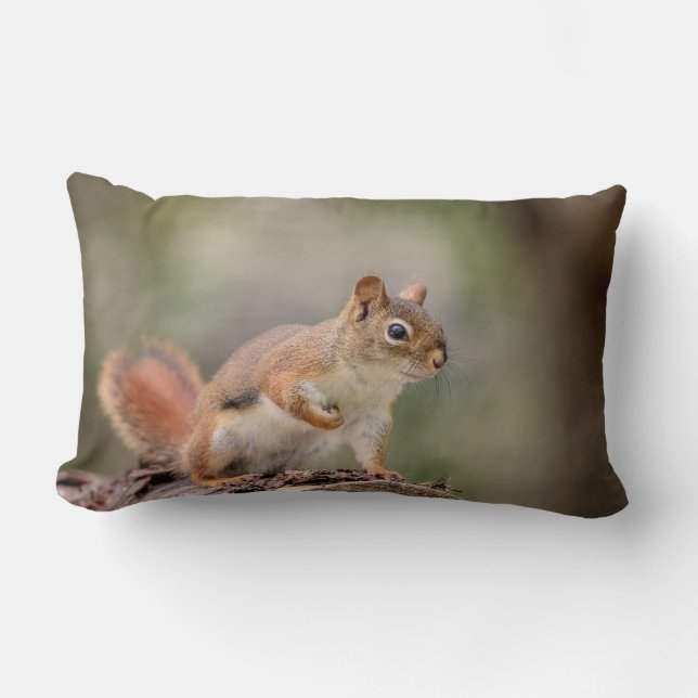 Red Squirrel Lumbar Cushion (Front)