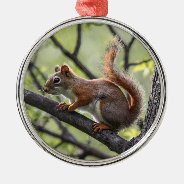 Red Squirrel Metal Tree Decoration (Front)