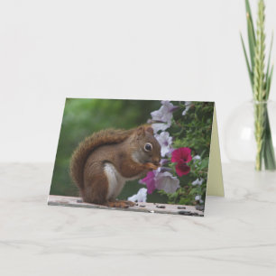 Red Squirrel Mother's Day Card