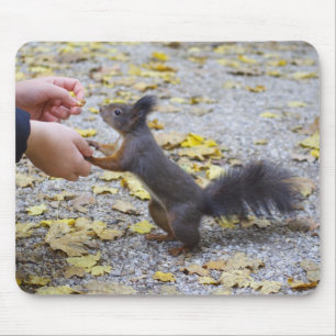 Red Squirrel Mouse Pad