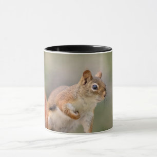 Red Squirrel Mug
