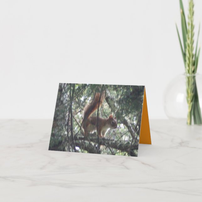 Red Squirrel Note Card (Front)