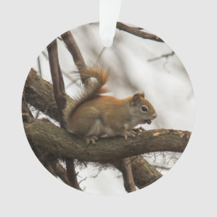 Red Squirrel Ornament