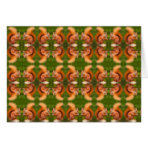 Red Squirrel Pattern