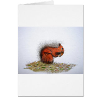 Red Squirrel pine cone