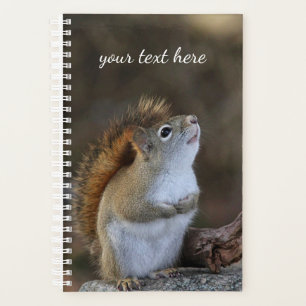 Red Squirrel Planner