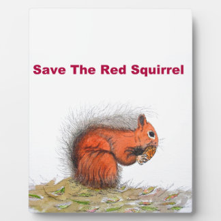 Red Squirrel Plaque