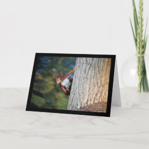 Red Squirrel Portrait Card