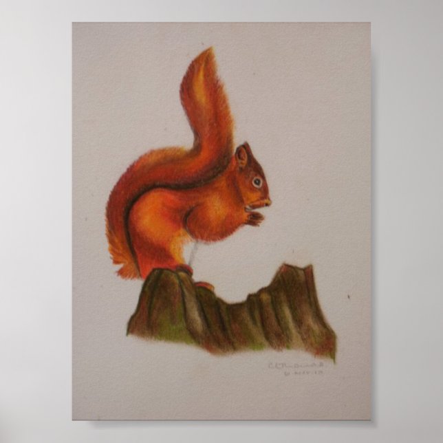 Red Squirrel Print (Front)