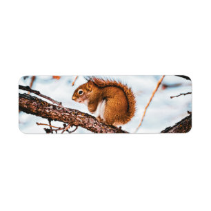 Red Squirrel Return Label